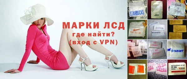 стафф Алзамай
