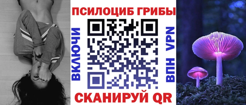 Галлюциногенные грибы Psilocybe  хочу   Покачи 
